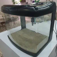 آکواریوم شرکتی هایلا