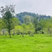 زمین-مسکونی360متردوردیوارکوهپایه-جنگل-قلعه-رودخان