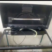 آکواریوم دلسا مخصوص آپارتمان