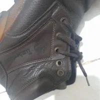 مجلسی نیم پوت