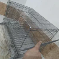 لونه پرنده قفس فلزی