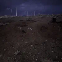 کود گوسفندی