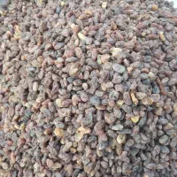 کشمش آفتابی سایه خشک ارگانیک