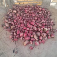 لبومحلی|خوردنی و آشامیدنی|نگار, |دیوار