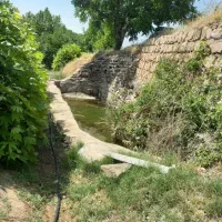 باغ گردو در آتانک