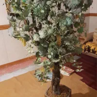 گلدان درخت مو