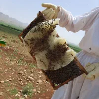 عسل طبیعی عوالان|خوردنی و آشامیدنی|سنندج, |دیوار