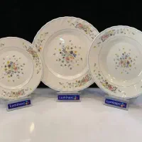 فروش سرویس لومینارک ویکتوریا پلمپ