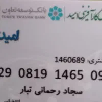 کیف  مدارک قهوه ایی کوچک گم شده