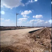 زمین-سند-تک-برگ-آماده-ساخت