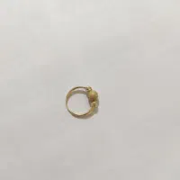 گوشواره گم شده