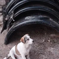 گلگیر عقب و چمنی کامیون بنز ۲۶۳۰