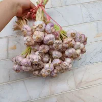 سیر محلی|خوردنی و آشامیدنی|ماسال, |دیوار