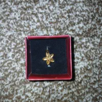 انگشتر طرح گل سبک و نمادار|جواهرات|بهبهان, |دیوار