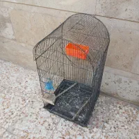 قفس بزرک