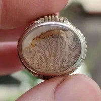 انگشتر نقره دستساز شهریار مدل رولکسی