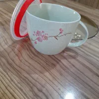 ظرف درب دار برای  غذای کودک وبرای سوپ وآب مرغ|ظروف نگهدارنده، پلاستیکی، یک‌بارمصرف|رشت, دیانتی|دیوار