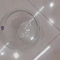 تنگ شیشه ای و استند پلکسی