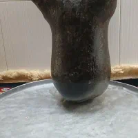 هیزه روین دان