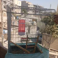 قفس پرنده بزرگ