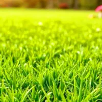 زمین کشاورزی