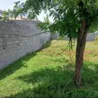 زمین مسکونی۳۵۰متری سنگرسراوان سیاهکل قاضیان کچا|فروش زمین و ملک کلنگی|رشت, بلوار گیلان|دیوار