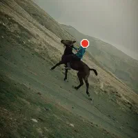 اسب ماده فروشی