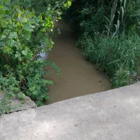 خانه روستایی ۵۰۰ متری خوش قیمت خشکبیجار زیباکنار|فروش خانه و ویلا|رشت, دیلمان|دیوار