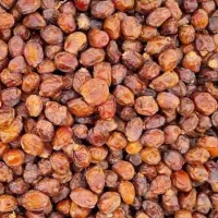 خرما خاصویی، خنیزی، حلاب|خوردنی و آشامیدنی|تهران, نصرت|دیوار