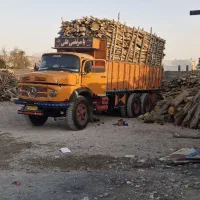 خرید درخت گردو چوب