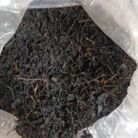 چای خشک شده به روش سنتی در کارگاه