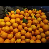 نارنگی ضعیف و ضایعات وسنگ پا