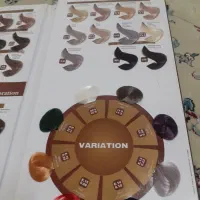 کاتالوگ رنگ مو|آرایشی، بهداشتی، درمانی|تربتحیدریه, باغ ملی|دیوار