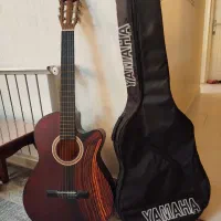 ویولن و گیتار حرفه ای نو همراه با کیف در فردیس