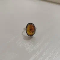 عتیقه کهربا با فسیل جانوران ماقبل تاریخ|کلکسیون اشیاء عتیقه|بوکان, |دیوار