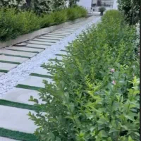 باغ ویلا لاکچری ۶۰۰ متر|فروش خانه و ویلا|رباطکریم, شترخوار|دیوار