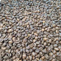 رست و فروش عنوان دانه قهوه