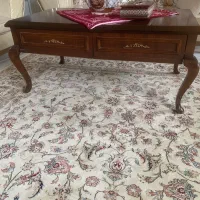 یک عد میزبین مبل وزیرتلویزیونی