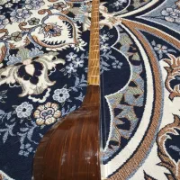 تار|سازهای سنتی|نورآباد, |دیوار