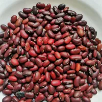 لوبیا فردینه ۸۰۰ گرمی دیرپز|خوردنی و آشامیدنی|مشهد, شهید هاشمی نژاد|دیوار