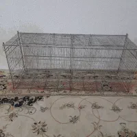 قفس|لوازم جانبی حیوانات|تهران, میرداماد|دیوار