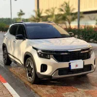 کیا سلتوس