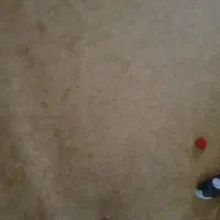 موکت