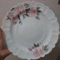 سرویس آرکوپال