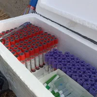 ونوجکت، سرسوزن و تجهیزات خونگیری|پزشکی|اردبیل, |دیوار