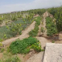 باغ در محدوده خسروشهر|فروش خانه و ویلا|خسروشاه, |دیوار