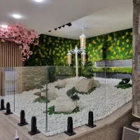 دیوارسبز طبیعی دیوارسبزنصنوعی ماس وال دیوارسبز خزه|گل و گیاه طبیعی|مشهد, هنرستان|دیوار
