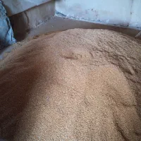 گندم دیم 1تن