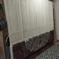 دو عدد فرش نقشه کرمان قلم|فرش|میاندوآب, |دیوار