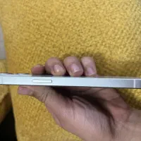 ایفون ۱۳ نرمال|موبایل|سبزوار, پاسداران|دیوار